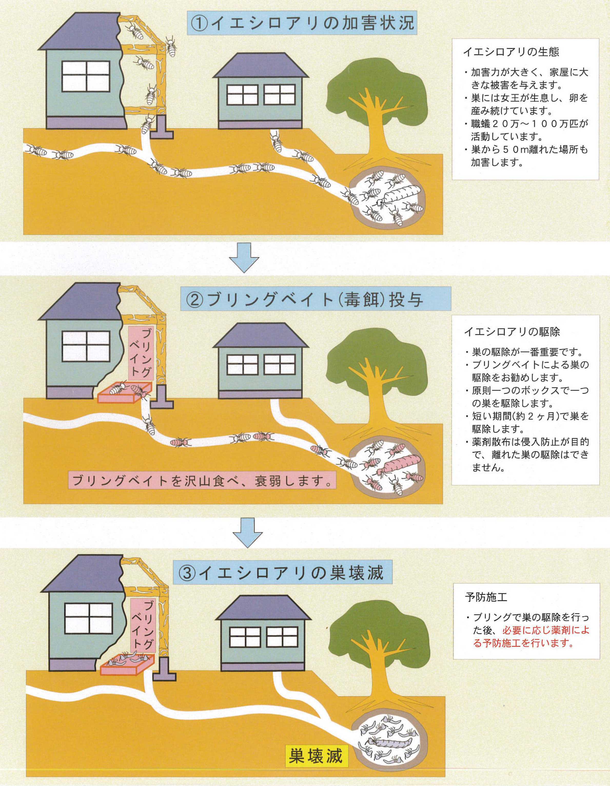 白蟻防除工事